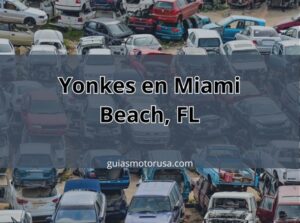 Yonkes en Miami Beach